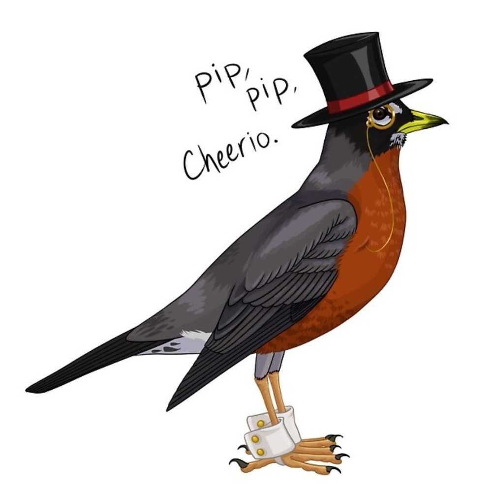 Meet your Posher, Veena